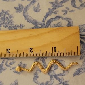 GOLDEN Snake Charm